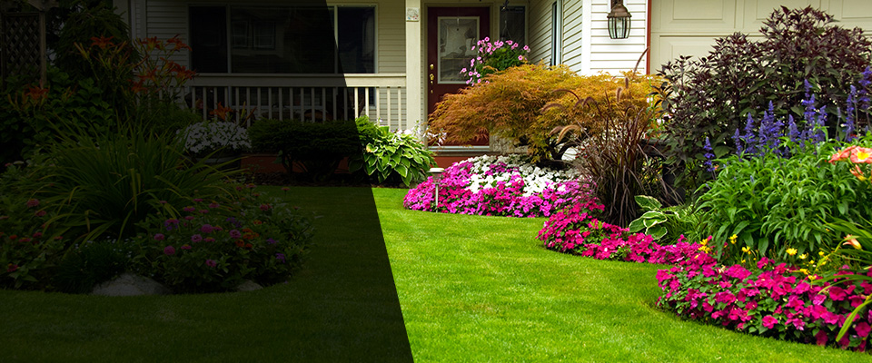Lafayette Landscapers